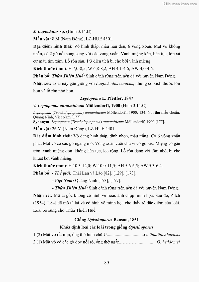 Luận án tiến sĩ sinh học Khu hệ Thân mềm Chân bụng Mollusca: Gastropoda ở nước ngọt và trên cạn Thừa Thiên Huế - 9 Trang 102
