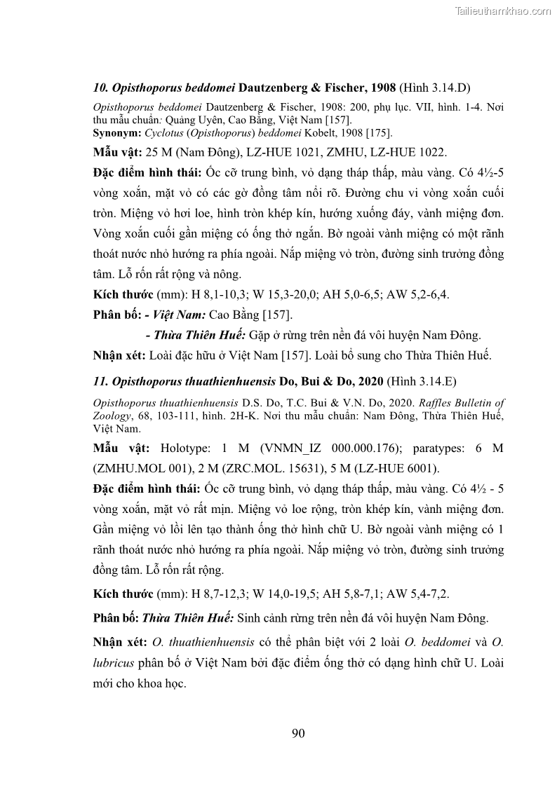 Luận án tiến sĩ sinh học Khu hệ Thân mềm Chân bụng Mollusca: Gastropoda ở nước ngọt và trên cạn Thừa Thiên Huế - 9 Trang 103