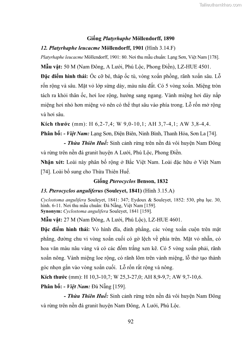Luận án tiến sĩ sinh học Khu hệ Thân mềm Chân bụng Mollusca: Gastropoda ở nước ngọt và trên cạn Thừa Thiên Huế - 9 Trang 105