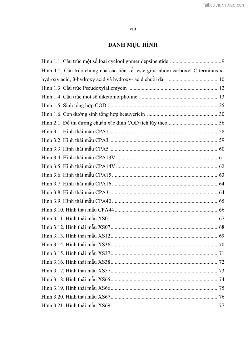 Luận án tiến sĩ sinh học Nghiên cứu đa dạng và sinh tổng hợp Cyclooligomer depsipeptide của nấm ký sinh côn trùng tại Khu Bảo tồn thiên nhiên Copia và Vườn quốc gia Xuân Sơn - 1 Trang 10