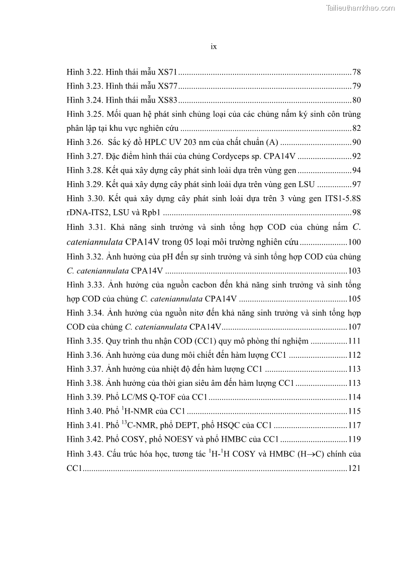 Luận án tiến sĩ sinh học Nghiên cứu đa dạng và sinh tổng hợp Cyclooligomer depsipeptide của nấm ký sinh côn trùng tại Khu Bảo tồn thiên nhiên Copia và Vườn quốc gia Xuân Sơn - 1 Trang 11