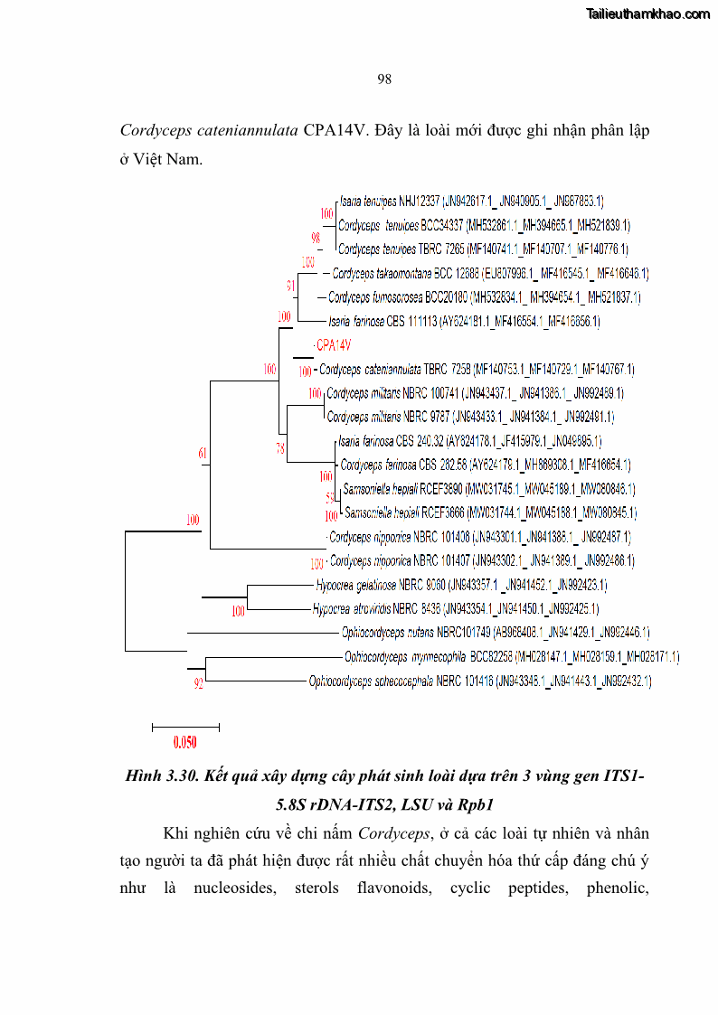 Luận án tiến sĩ sinh học Nghiên cứu đa dạng và sinh tổng hợp Cyclooligomer depsipeptide của nấm ký sinh côn trùng tại Khu Bảo tồn thiên nhiên Copia và Vườn quốc gia Xuân Sơn - 10 Trang 109