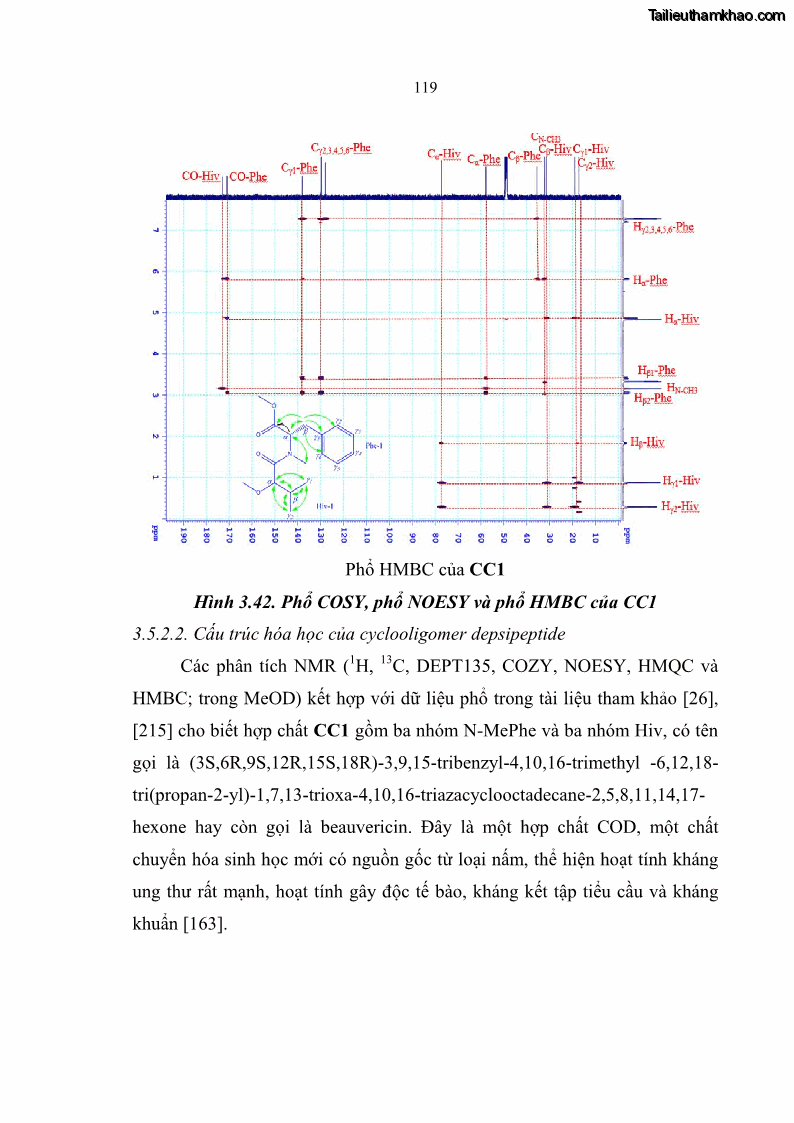 Luận án tiến sĩ sinh học Nghiên cứu đa dạng và sinh tổng hợp Cyclooligomer depsipeptide của nấm ký sinh côn trùng tại Khu Bảo tồn thiên nhiên Copia và Vườn quốc gia Xuân Sơn - 11 Trang 130