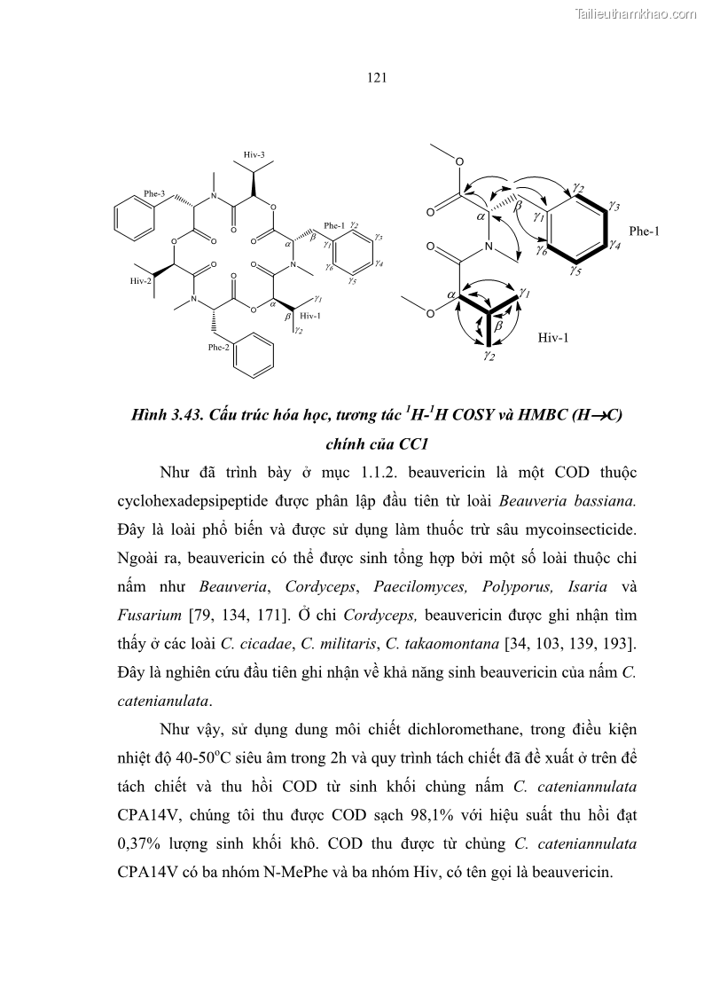 Luận án tiến sĩ sinh học Nghiên cứu đa dạng và sinh tổng hợp Cyclooligomer depsipeptide của nấm ký sinh côn trùng tại Khu Bảo tồn thiên nhiên Copia và Vườn quốc gia Xuân Sơn - 11 Trang 132