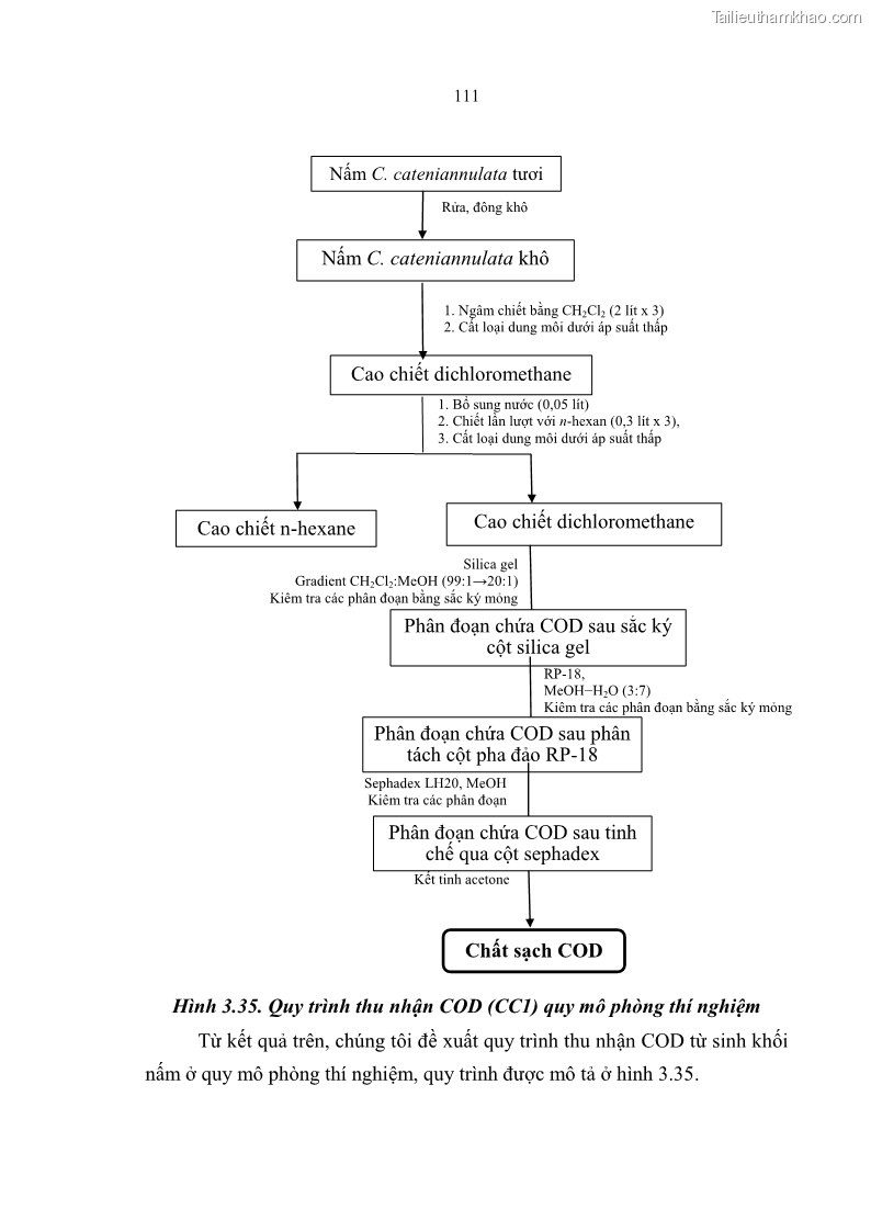 Luận án tiến sĩ sinh học Nghiên cứu đa dạng và sinh tổng hợp Cyclooligomer depsipeptide của nấm ký sinh côn trùng tại Khu Bảo tồn thiên nhiên Copia và Vườn quốc gia Xuân Sơn - 11 Trang 122
