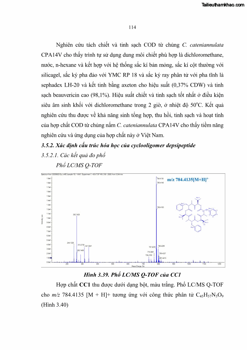 Luận án tiến sĩ sinh học Nghiên cứu đa dạng và sinh tổng hợp Cyclooligomer depsipeptide của nấm ký sinh côn trùng tại Khu Bảo tồn thiên nhiên Copia và Vườn quốc gia Xuân Sơn - 11 Trang 125