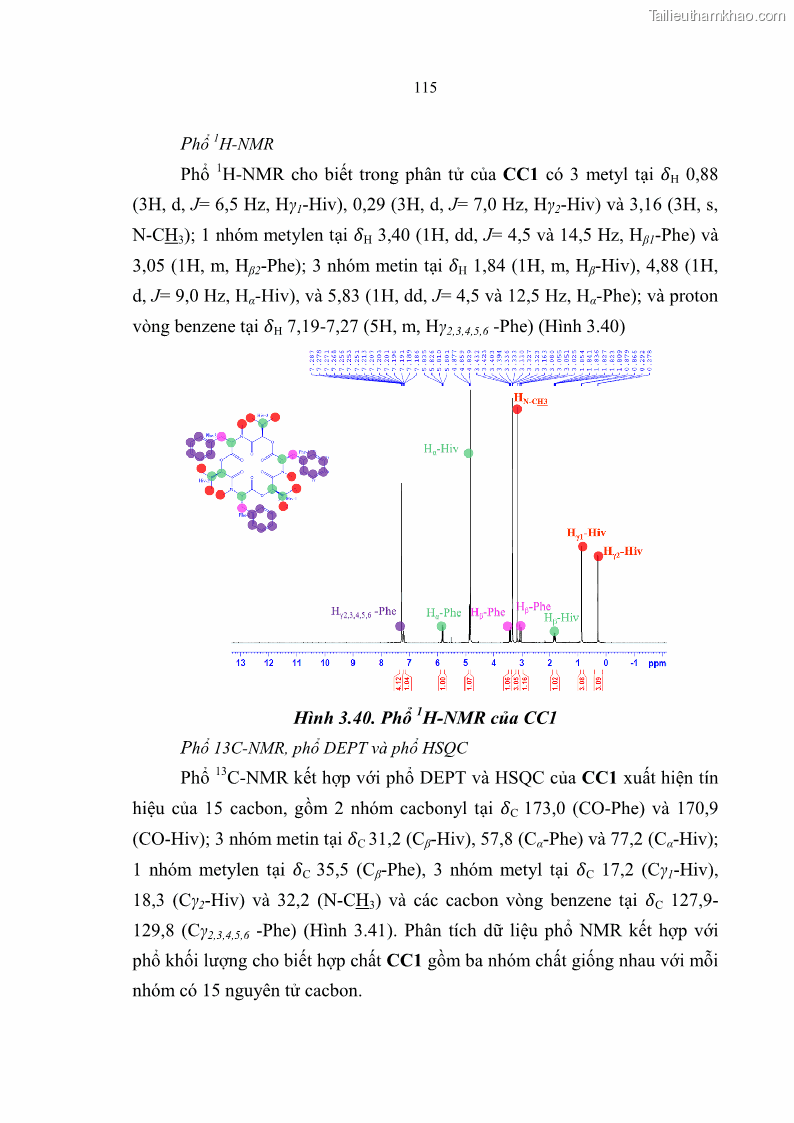Luận án tiến sĩ sinh học Nghiên cứu đa dạng và sinh tổng hợp Cyclooligomer depsipeptide của nấm ký sinh côn trùng tại Khu Bảo tồn thiên nhiên Copia và Vườn quốc gia Xuân Sơn - 11 Trang 126