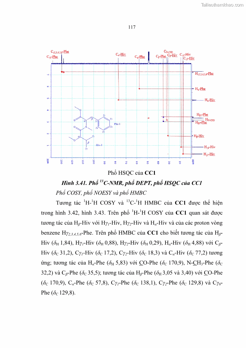 Luận án tiến sĩ sinh học Nghiên cứu đa dạng và sinh tổng hợp Cyclooligomer depsipeptide của nấm ký sinh côn trùng tại Khu Bảo tồn thiên nhiên Copia và Vườn quốc gia Xuân Sơn - 11 Trang 128