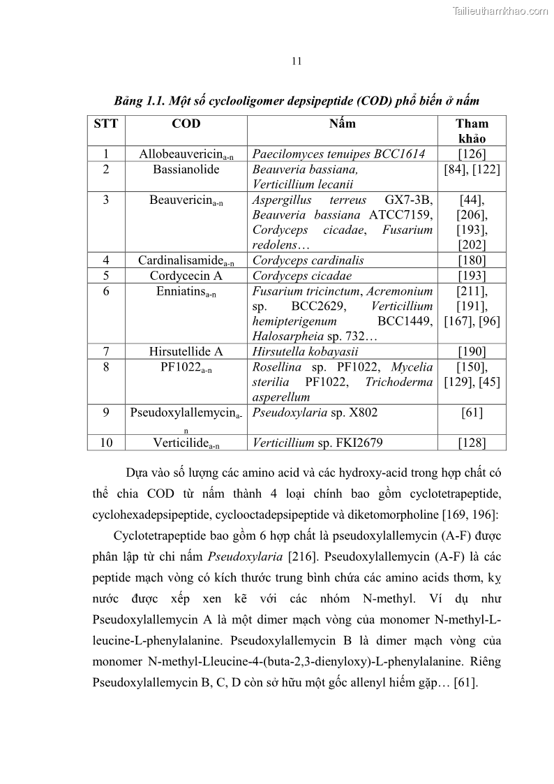 Luận án tiến sĩ sinh học Nghiên cứu đa dạng và sinh tổng hợp Cyclooligomer depsipeptide của nấm ký sinh côn trùng tại Khu Bảo tồn thiên nhiên Copia và Vườn quốc gia Xuân Sơn - 2 Trang 22