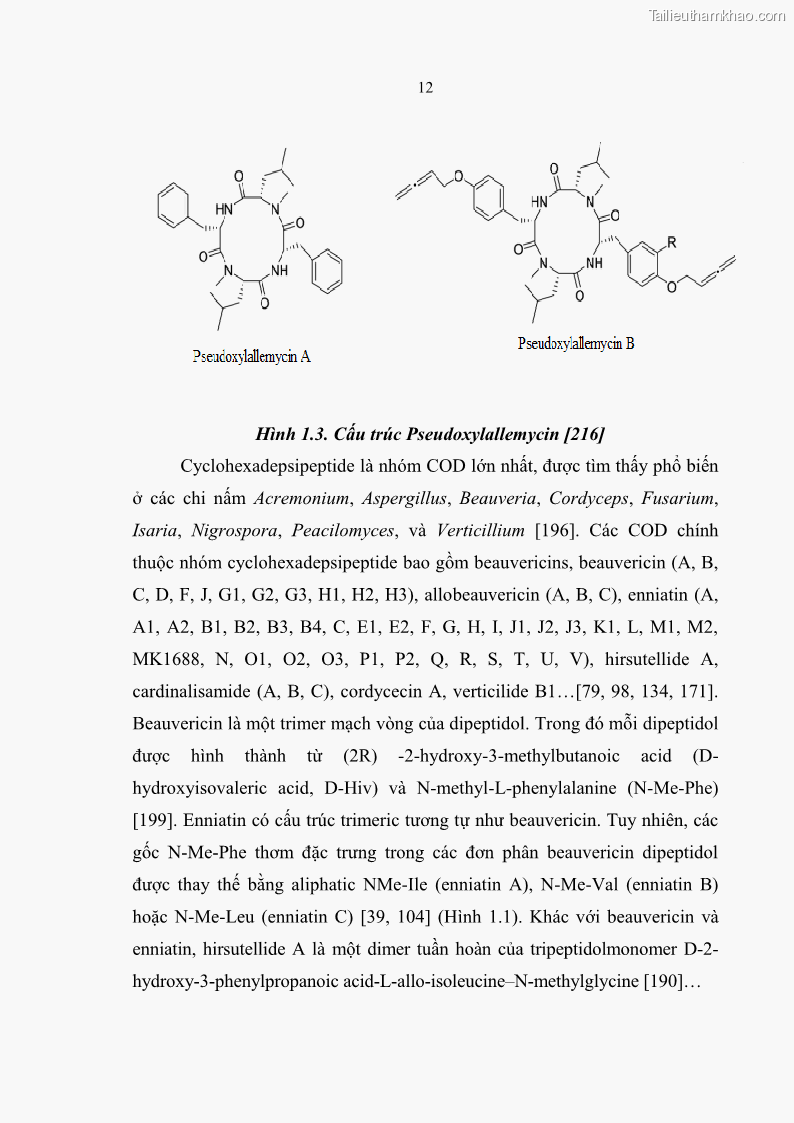 Luận án tiến sĩ sinh học Nghiên cứu đa dạng và sinh tổng hợp Cyclooligomer depsipeptide của nấm ký sinh côn trùng tại Khu Bảo tồn thiên nhiên Copia và Vườn quốc gia Xuân Sơn - 2 Trang 23