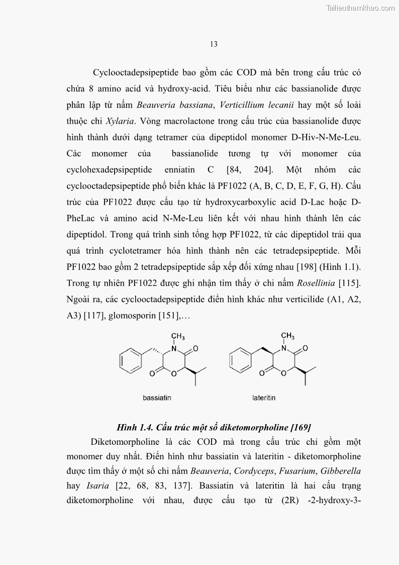Luận án tiến sĩ sinh học Nghiên cứu đa dạng và sinh tổng hợp Cyclooligomer depsipeptide của nấm ký sinh côn trùng tại Khu Bảo tồn thiên nhiên Copia và Vườn quốc gia Xuân Sơn - 2 Trang 24