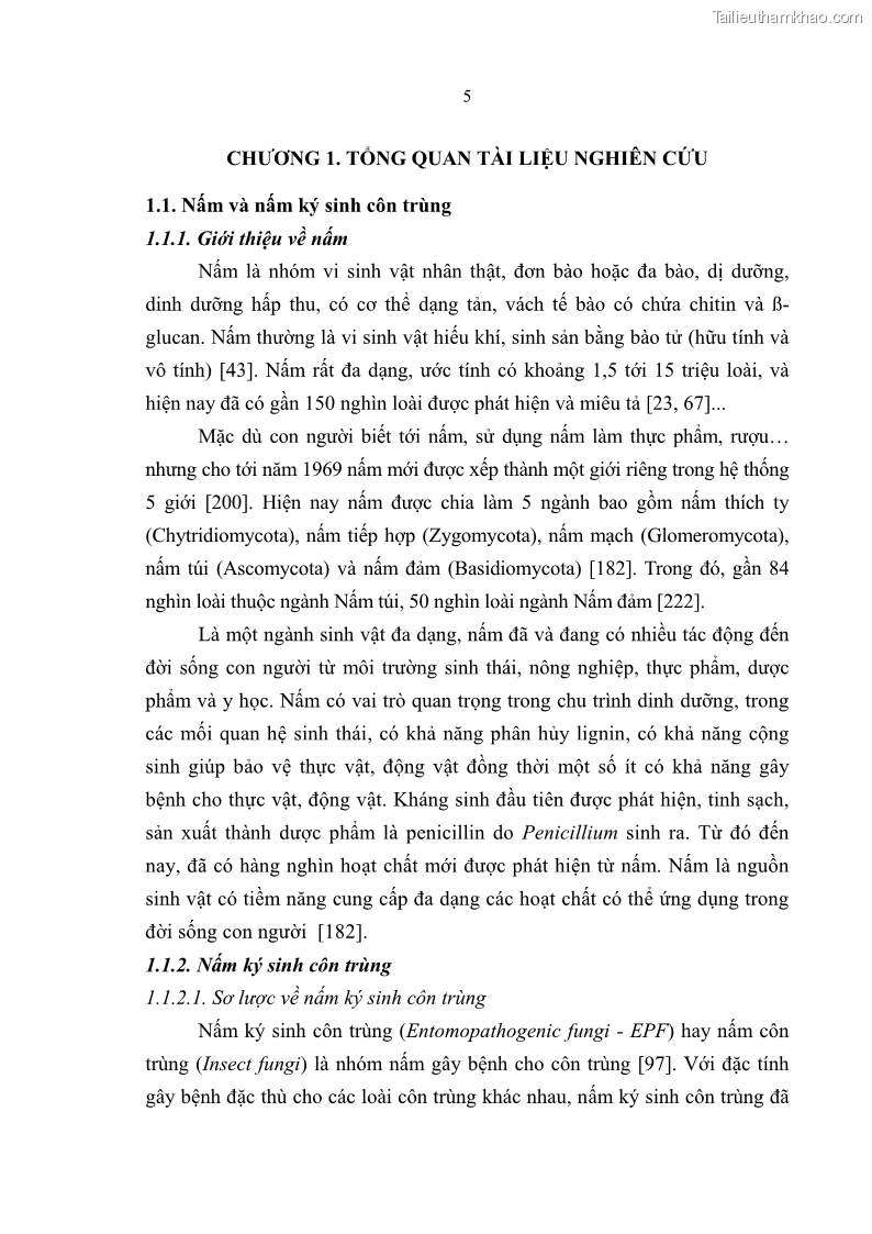 Luận án tiến sĩ sinh học Nghiên cứu đa dạng và sinh tổng hợp Cyclooligomer depsipeptide của nấm ký sinh côn trùng tại Khu Bảo tồn thiên nhiên Copia và Vườn quốc gia Xuân Sơn - 2 Trang 16