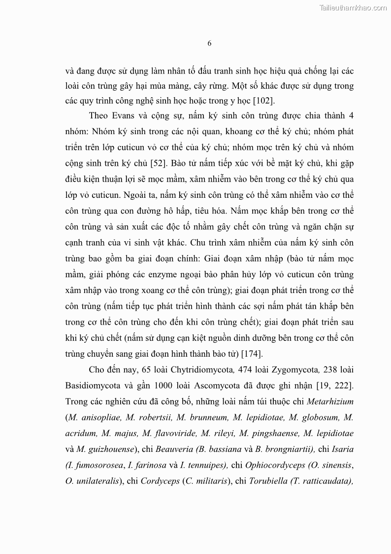 Luận án tiến sĩ sinh học Nghiên cứu đa dạng và sinh tổng hợp Cyclooligomer depsipeptide của nấm ký sinh côn trùng tại Khu Bảo tồn thiên nhiên Copia và Vườn quốc gia Xuân Sơn - 2 Trang 17