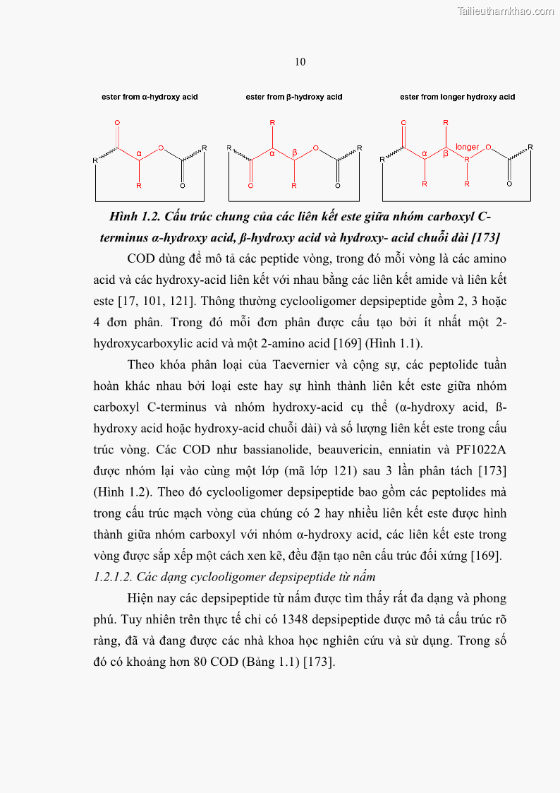 Luận án tiến sĩ sinh học Nghiên cứu đa dạng và sinh tổng hợp Cyclooligomer depsipeptide của nấm ký sinh côn trùng tại Khu Bảo tồn thiên nhiên Copia và Vườn quốc gia Xuân Sơn - 2 Trang 21