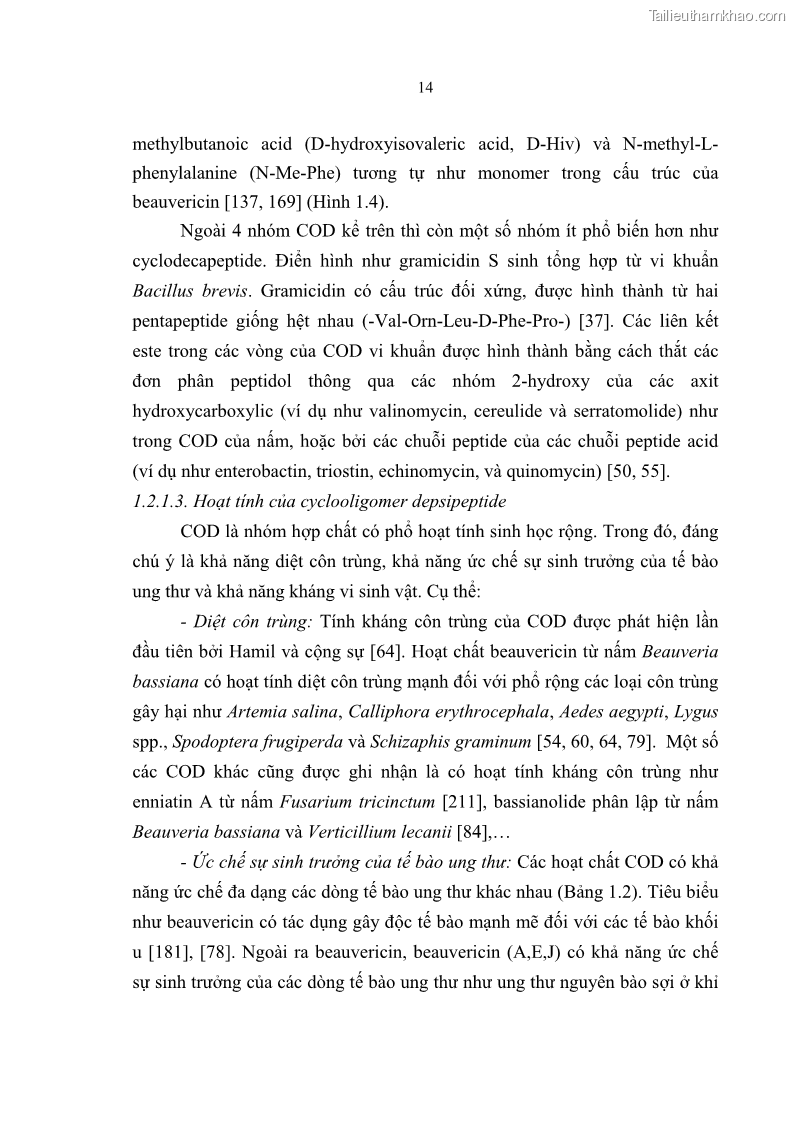 Luận án tiến sĩ sinh học Nghiên cứu đa dạng và sinh tổng hợp Cyclooligomer depsipeptide của nấm ký sinh côn trùng tại Khu Bảo tồn thiên nhiên Copia và Vườn quốc gia Xuân Sơn - 3 Trang 25
