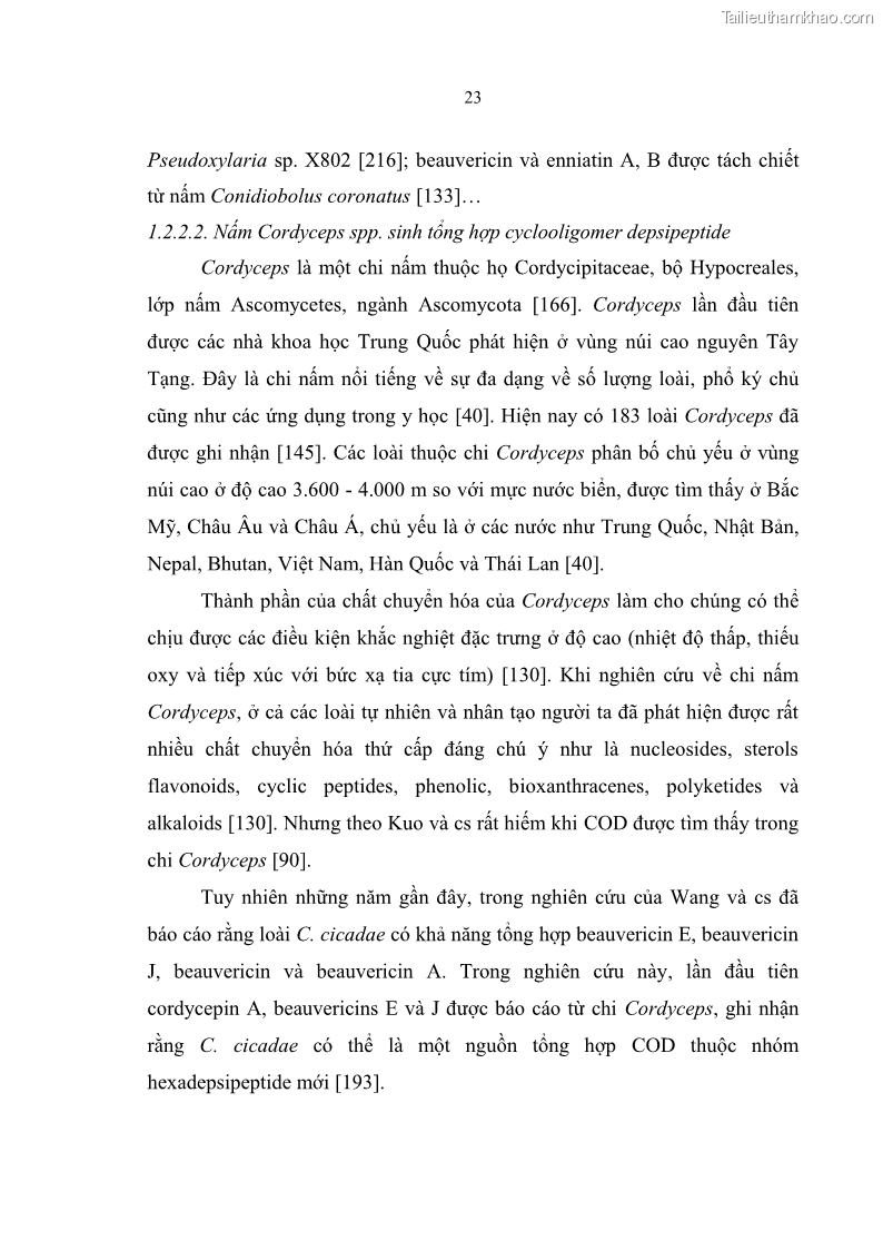 Luận án tiến sĩ sinh học Nghiên cứu đa dạng và sinh tổng hợp Cyclooligomer depsipeptide của nấm ký sinh côn trùng tại Khu Bảo tồn thiên nhiên Copia và Vườn quốc gia Xuân Sơn - 3 Trang 34