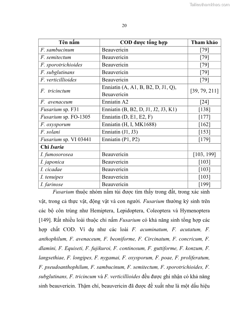Luận án tiến sĩ sinh học Nghiên cứu đa dạng và sinh tổng hợp Cyclooligomer depsipeptide của nấm ký sinh côn trùng tại Khu Bảo tồn thiên nhiên Copia và Vườn quốc gia Xuân Sơn - 3 Trang 31