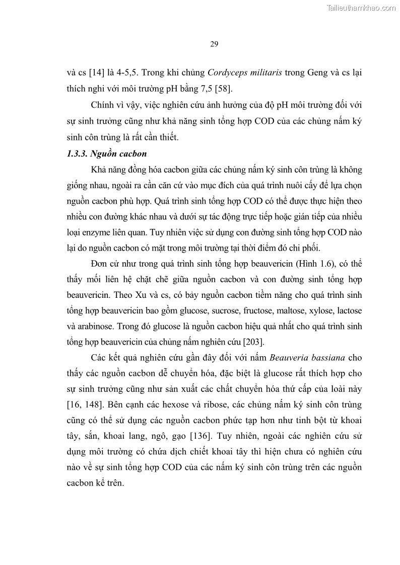 Luận án tiến sĩ sinh học Nghiên cứu đa dạng và sinh tổng hợp Cyclooligomer depsipeptide của nấm ký sinh côn trùng tại Khu Bảo tồn thiên nhiên Copia và Vườn quốc gia Xuân Sơn - 4 Trang 40