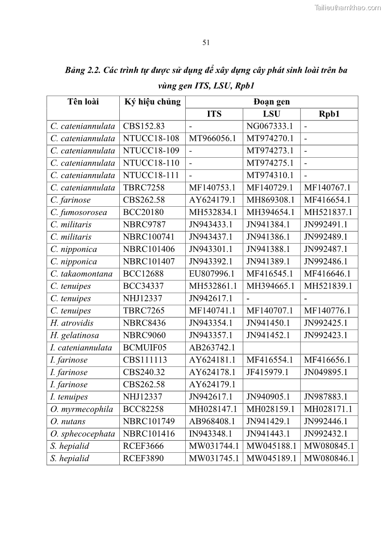 Luận án tiến sĩ sinh học Nghiên cứu đa dạng và sinh tổng hợp Cyclooligomer depsipeptide của nấm ký sinh côn trùng tại Khu Bảo tồn thiên nhiên Copia và Vườn quốc gia Xuân Sơn - 6 Trang 62