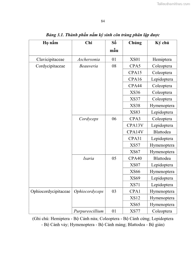 Luận án tiến sĩ sinh học Nghiên cứu đa dạng và sinh tổng hợp Cyclooligomer depsipeptide của nấm ký sinh côn trùng tại Khu Bảo tồn thiên nhiên Copia và Vườn quốc gia Xuân Sơn - 8 Trang 95