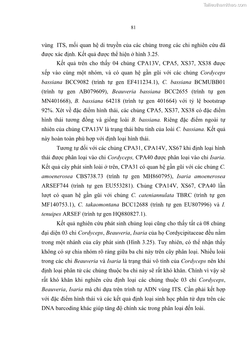 Luận án tiến sĩ sinh học Nghiên cứu đa dạng và sinh tổng hợp Cyclooligomer depsipeptide của nấm ký sinh côn trùng tại Khu Bảo tồn thiên nhiên Copia và Vườn quốc gia Xuân Sơn - 8 Trang 92