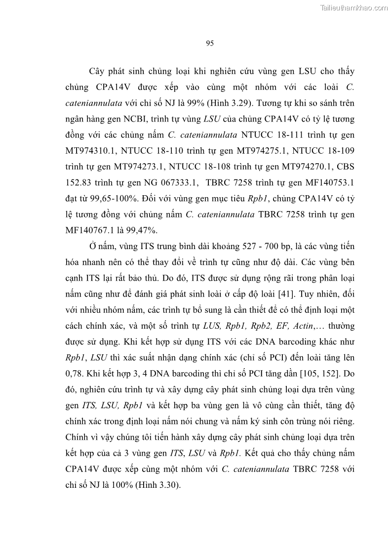 Luận án tiến sĩ sinh học Nghiên cứu đa dạng và sinh tổng hợp Cyclooligomer depsipeptide của nấm ký sinh côn trùng tại Khu Bảo tồn thiên nhiên Copia và Vườn quốc gia Xuân Sơn - 9 Trang 106
