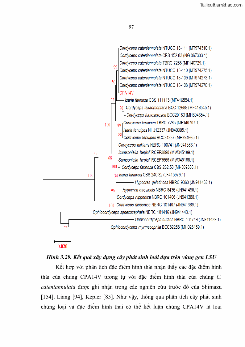 Luận án tiến sĩ sinh học Nghiên cứu đa dạng và sinh tổng hợp Cyclooligomer depsipeptide của nấm ký sinh côn trùng tại Khu Bảo tồn thiên nhiên Copia và Vườn quốc gia Xuân Sơn - 9 Trang 108