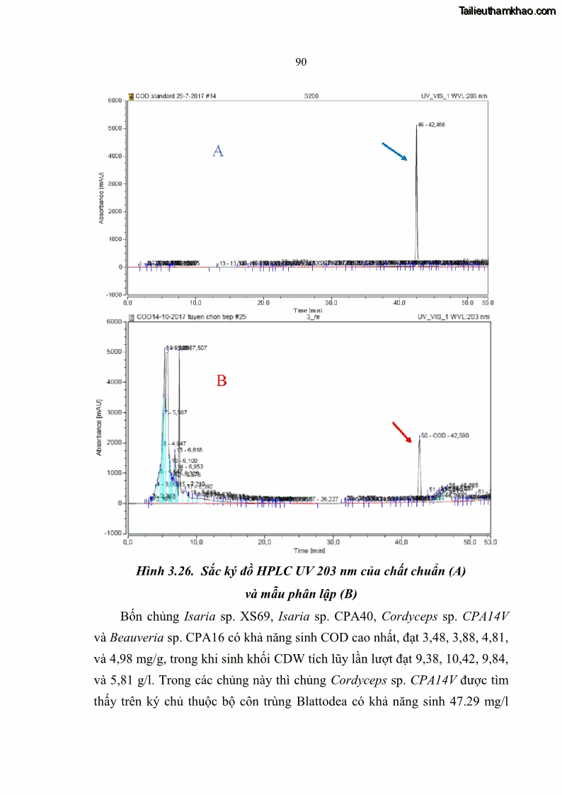 Luận án tiến sĩ sinh học Nghiên cứu đa dạng và sinh tổng hợp Cyclooligomer depsipeptide của nấm ký sinh côn trùng tại Khu Bảo tồn thiên nhiên Copia và Vườn quốc gia Xuân Sơn - 9 Trang 101