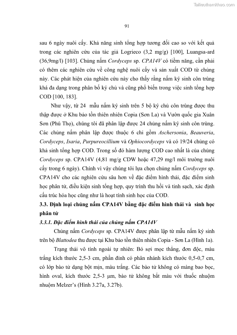 Luận án tiến sĩ sinh học Nghiên cứu đa dạng và sinh tổng hợp Cyclooligomer depsipeptide của nấm ký sinh côn trùng tại Khu Bảo tồn thiên nhiên Copia và Vườn quốc gia Xuân Sơn - 9 Trang 102