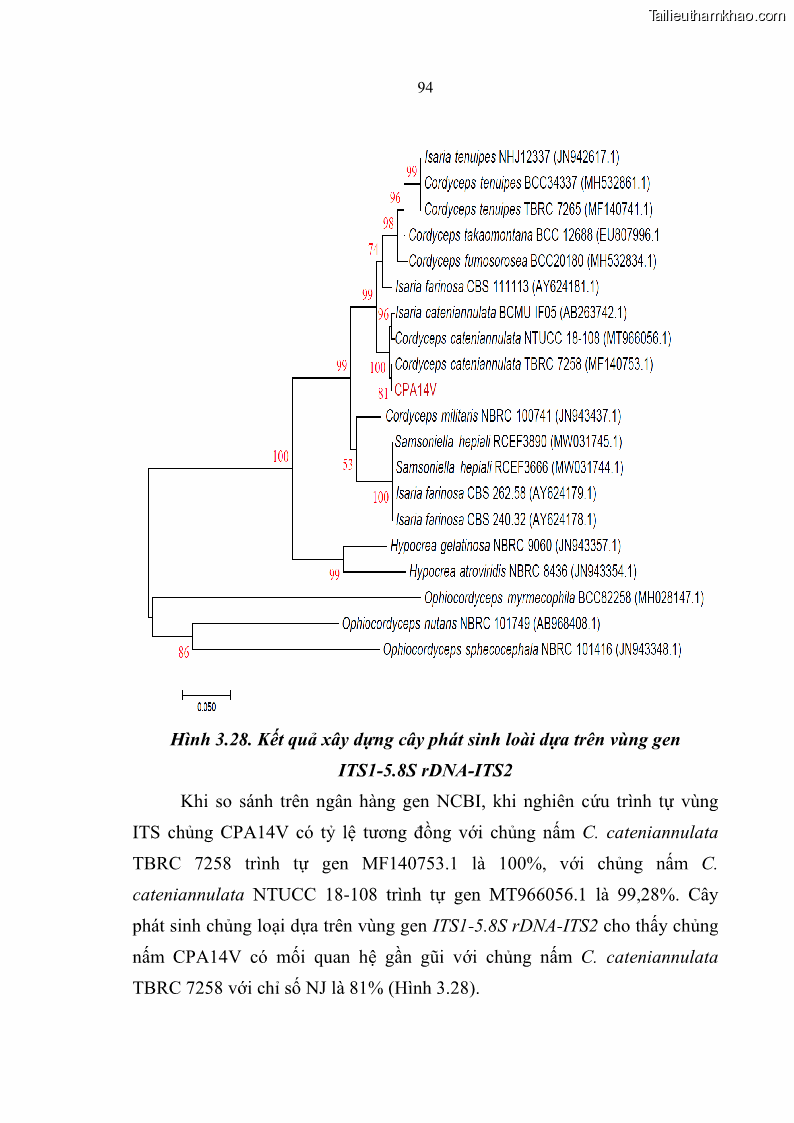Luận án tiến sĩ sinh học Nghiên cứu đa dạng và sinh tổng hợp Cyclooligomer depsipeptide của nấm ký sinh côn trùng tại Khu Bảo tồn thiên nhiên Copia và Vườn quốc gia Xuân Sơn - 9 Trang 105