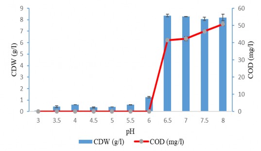 Hình 3 32 Ảnh hưởng của pH đến sự sinh trưởng và sinh tổng hợp COD của 1
