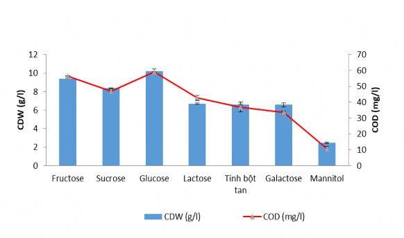 Hình 3 33 Ảnh hưởng của nguồn cacbon đến khả năng sinh trưởng và sinh tổng 2