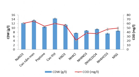 Hình 3 34 Ảnh hưởng của nguồn nitơ đến khả năng sinh trưởng và sinh tổng 3