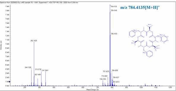 Hình 3 39 Phổ LC MS Q TOF của CC1 Hợp chất CC1 thu được dưới dạng bột màu 4