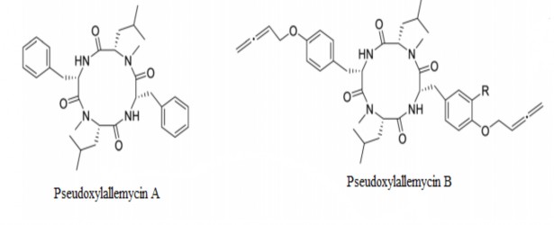 Hình 1 3 Cấu trúc Pseudoxylallemycin 216 Cyclohexadepsipeptide là nhóm COD lớn nhất 3