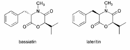 Hình 1 4 Cấu trúc một số diketomorpholine 169 Diketomorpholine là các COD mà trong 4