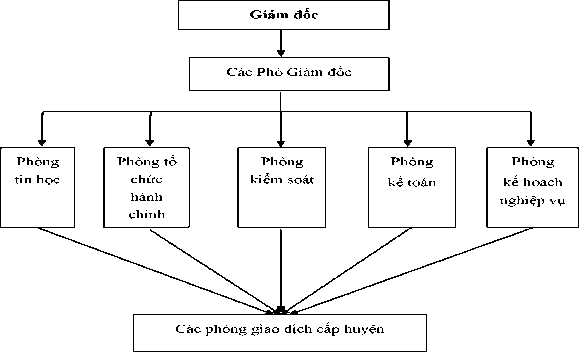 Hình 2 1 Mô hình tổ chức của nhcsxh tỉnh thái nguyên Ban Giám đốc thực hiện 1
