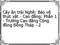 Cây ăn trái Nghề: Bảo vệ thực vật - Cao đẳng: Phần 1 - Trường Cao đẳng Cộng đồng Đồng Tháp - 2