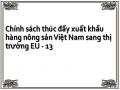 Chính sách thúc đẩy xuất khẩu hàng nông sản Việt Nam sang thị trường EU - 13