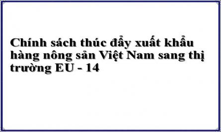 Chính sách thúc đẩy xuất khẩu hàng nông sản Việt Nam sang thị trường EU - 14