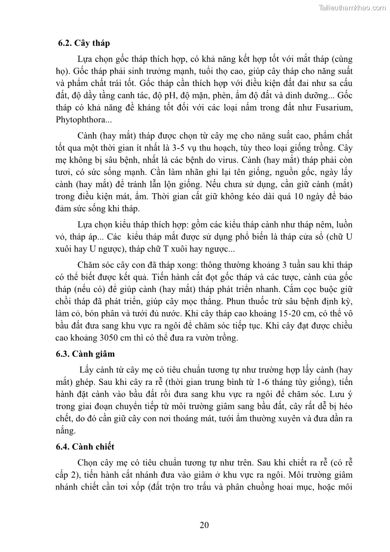 Giáo trình Cây ăn trái Nghề: Bảo vệ thực vật - Cao đẳng: Phần 1 - Trường Cao đẳng Cộng đồng Đồng Tháp - 3 Trang 32
