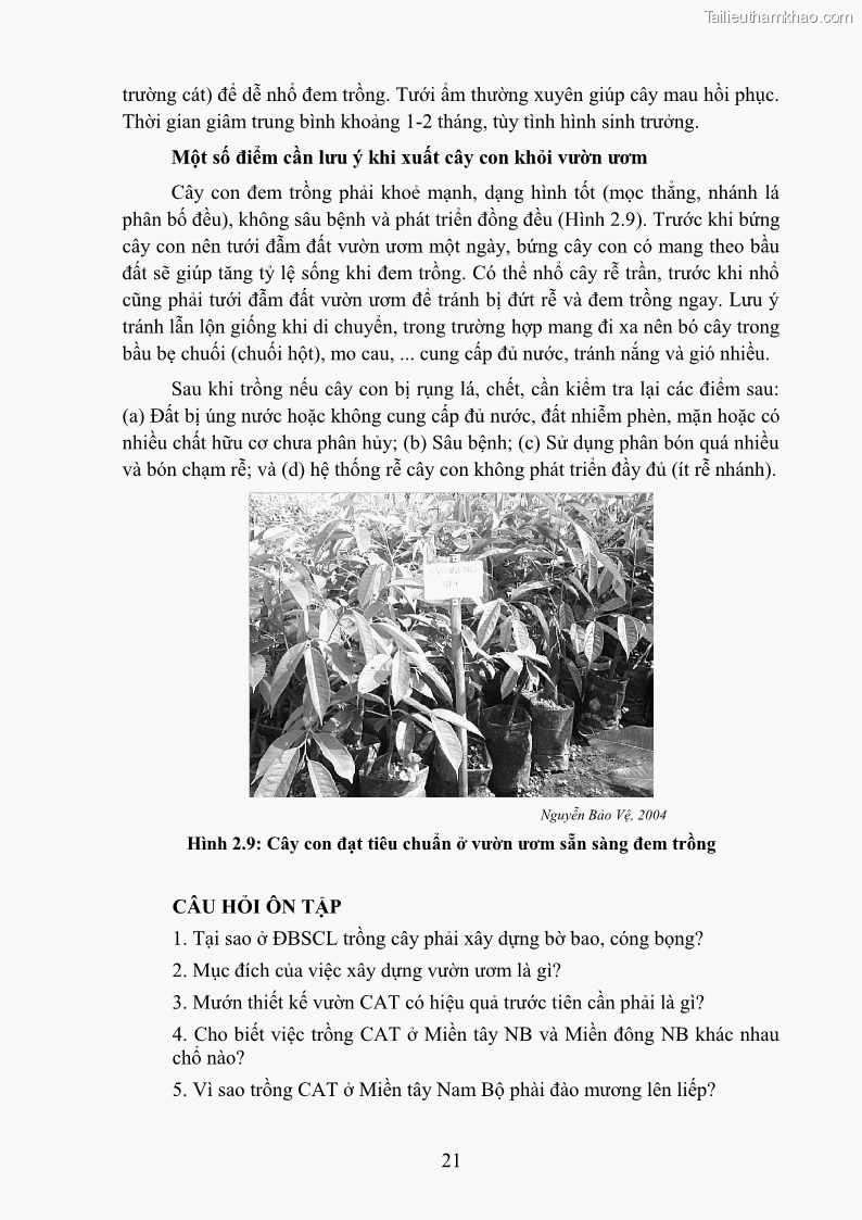 Giáo trình Cây ăn trái Nghề: Bảo vệ thực vật - Cao đẳng: Phần 1 - Trường Cao đẳng Cộng đồng Đồng Tháp - 3 Trang 33