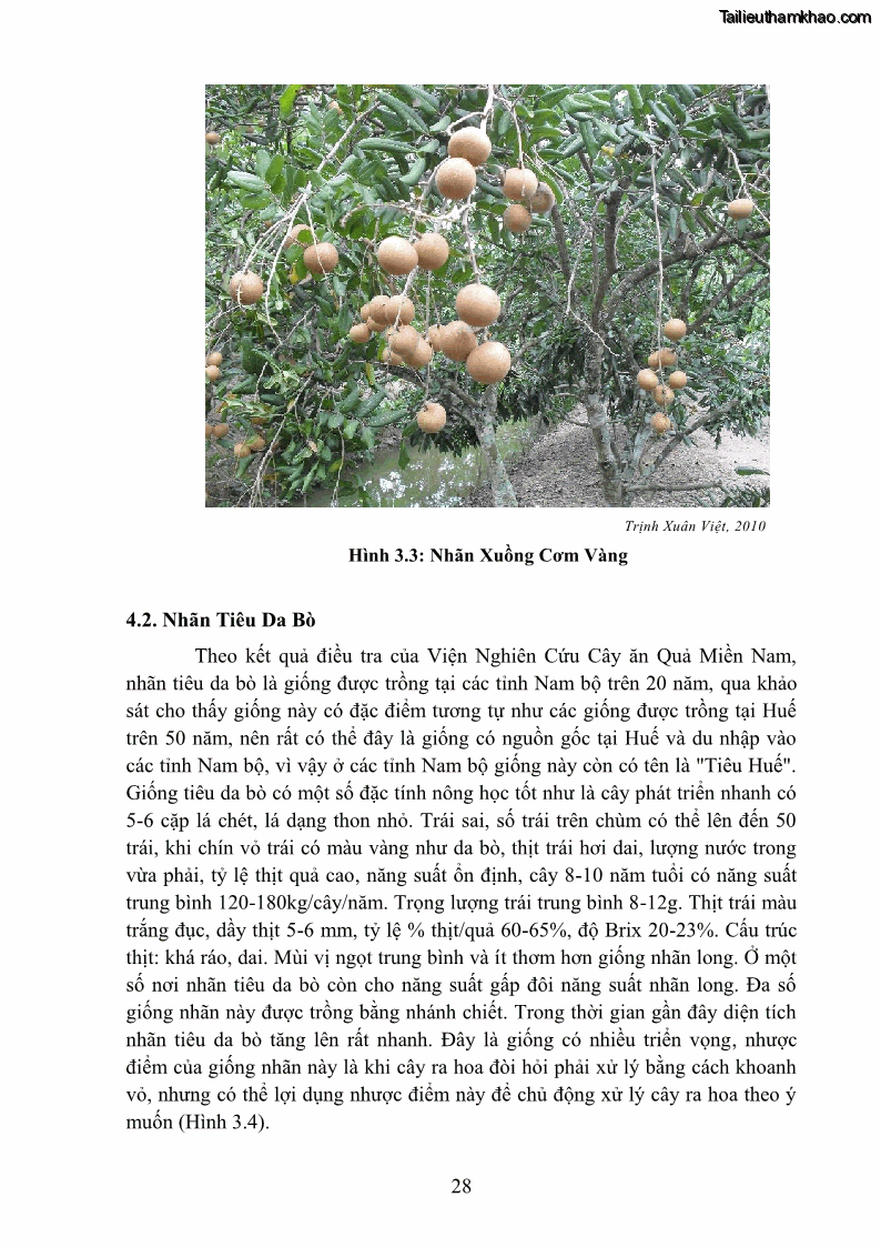 Giáo trình Cây ăn trái Nghề: Bảo vệ thực vật - Cao đẳng: Phần 1 - Trường Cao đẳng Cộng đồng Đồng Tháp - 4 Trang 40