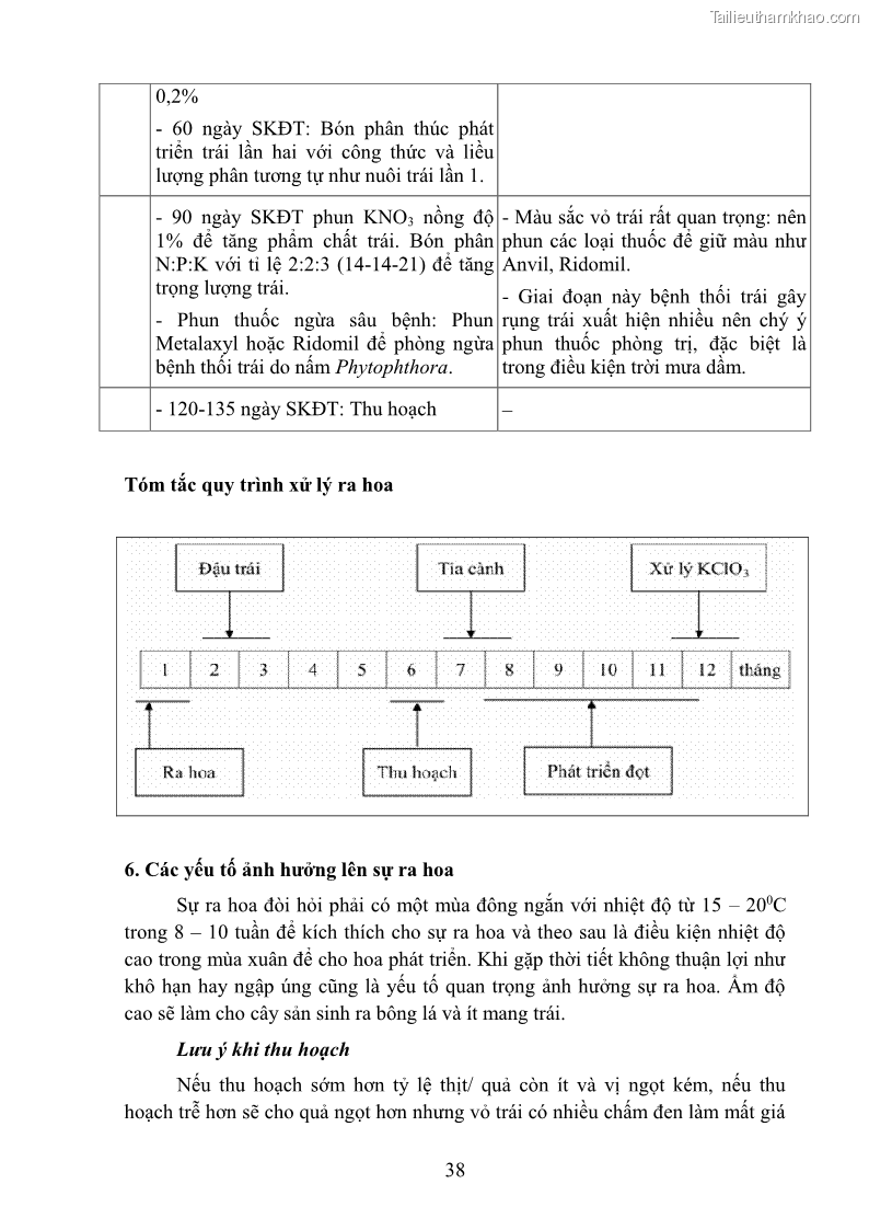 Giáo trình Cây ăn trái Nghề: Bảo vệ thực vật - Cao đẳng: Phần 1 - Trường Cao đẳng Cộng đồng Đồng Tháp - 5 Trang 50