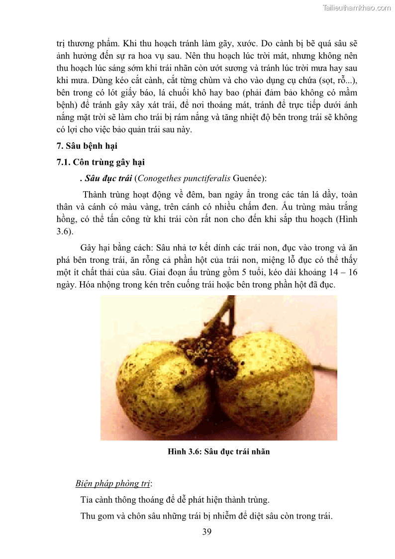 Giáo trình Cây ăn trái Nghề: Bảo vệ thực vật - Cao đẳng: Phần 1 - Trường Cao đẳng Cộng đồng Đồng Tháp - 5 Trang 51
