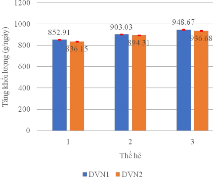 Hình 3 3 Tăng khối lượng của hai dòng lợn DVN1 và DVN2 qua 3 thế hệ Hình 3 4 3