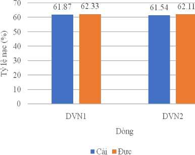 Hình 3 7 Tỷ lệ nạc của hai dòng lợn DVN1 và DVN2 theo tính biệt Hình 3 8 Tỷ 1