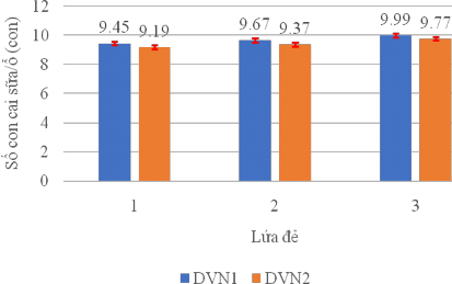 Hình 3 19 Số con cai sữa ổ của lợn nái DVN1 và DVN2 qua 3 lứa đẻ 3 1 3 Số 8