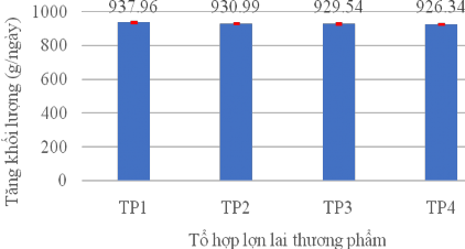 Hình 3 26 Tăng khối lượng của các tổ hợp lợn thương phẩm Hình 3 27 Tỷ lệ 1