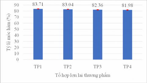 Hình 3 29 Tỷ lệ móc hàm của các tổ hợp lợn thương phẩm Kết quả theo dõi 1